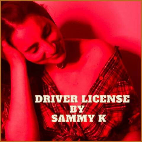 Drivers License