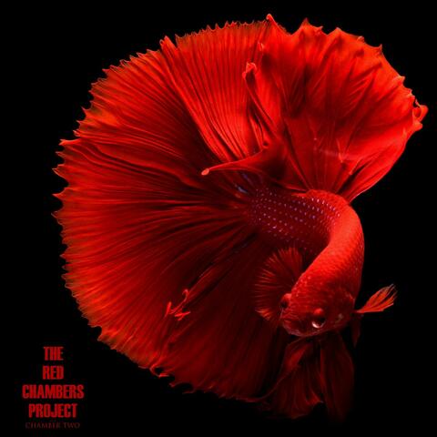 Chamber Two