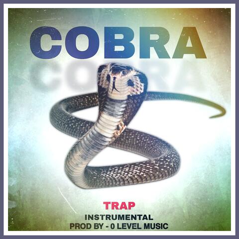 Cobra