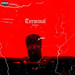 Terminal