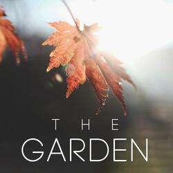 The Garden (feat. BigRicePiano)