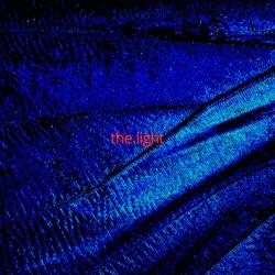 the light
