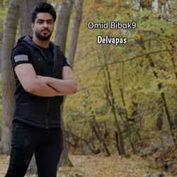 Delvapas