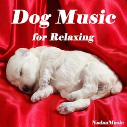 Baby Dog Cute Puppy Meme