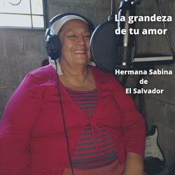 La grandeza de tu amor