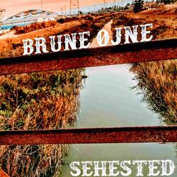 Brune Øjne