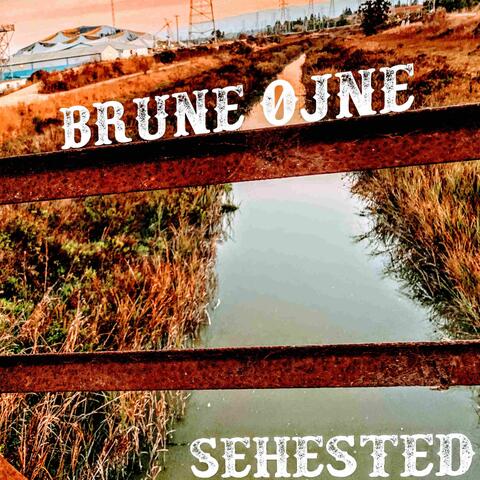Brune Øjne