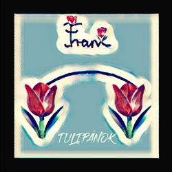 Tulipánok