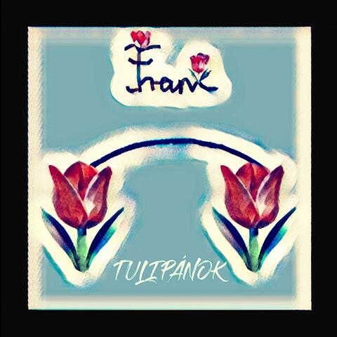 Tulipánok