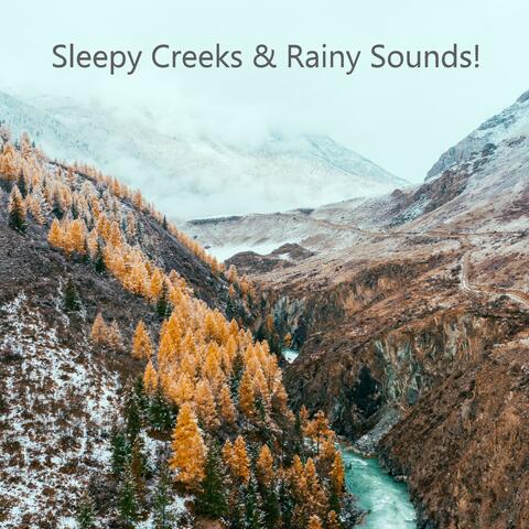 Sleepy Creeks & Rainy Sounds!