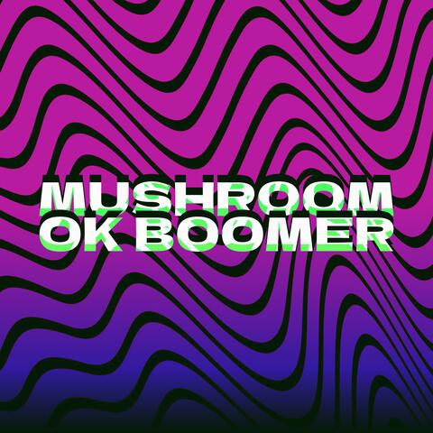 OK Boomer