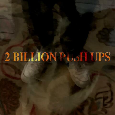 2 billion push ups