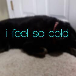 I Feel So Cold