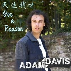 天生我才 (For a Reason)
