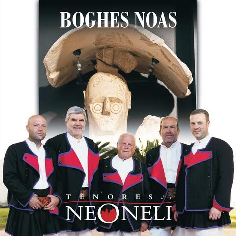 Boghes Noas