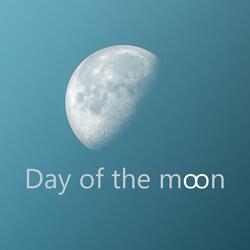 Day Of The Moon