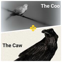 The Coo + The Caw