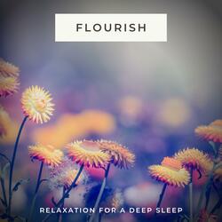 The Sound Therapy Flourish Room