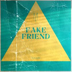 Fake Friend