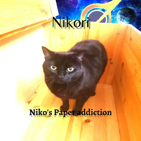 Niko's Paper Addiction