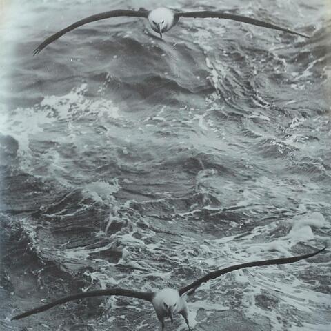 Where The Wind Breaks The Ocean