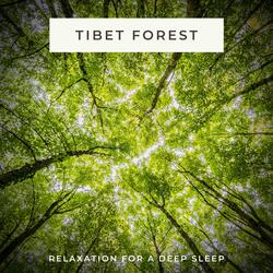 Fantastic Forest Sounds