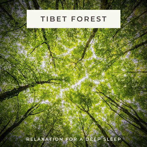 Tibet Forest (Relaxation for a Deep Sleep)