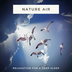 Air Sleeping Sounds