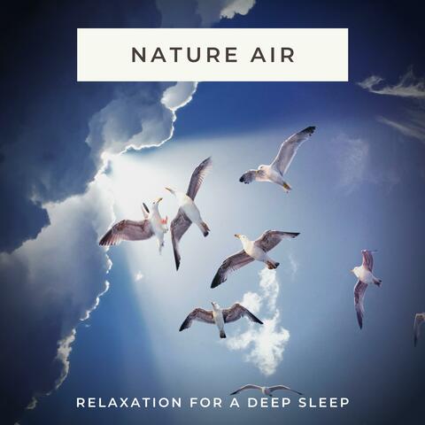 Nature Air (Relaxation for a Deep Sleep)