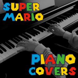 Super Mario Bros 2 Overworld