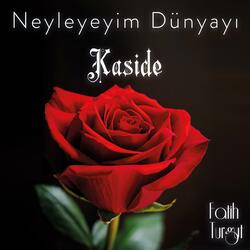 Neyleyim Dünyayı - Kaside