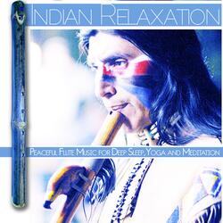 Native American Moods