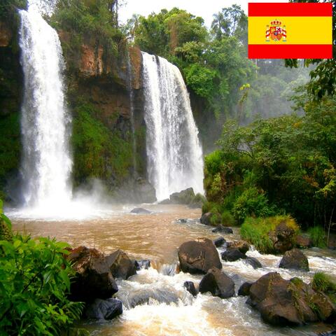 Cascada en una Selva Tropical