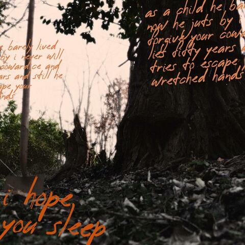 I Hope You Sleep