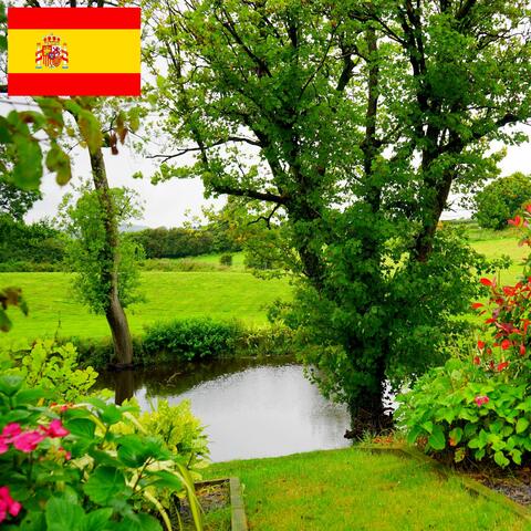 Sonido del Río en un Jardín Tranquilo