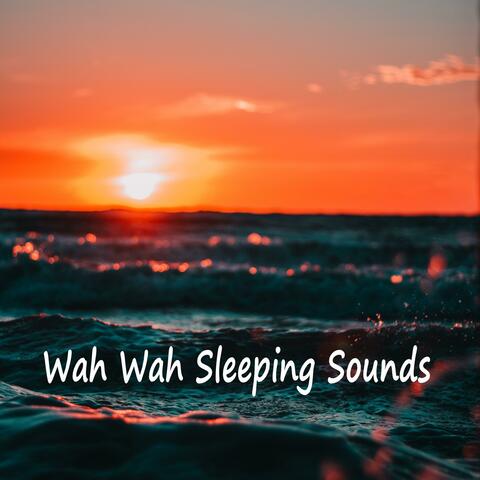 Wah Wah Sleeping Sounds