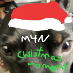 A Dumb Christmas Breakup Song