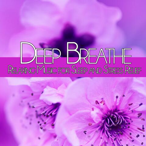 Deep Breathe: Relaxing Music for Sleep and Stress Relief