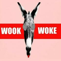 Wook Woke