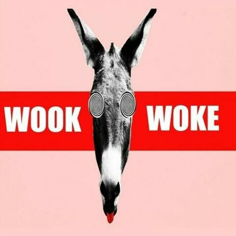 Wook Woke