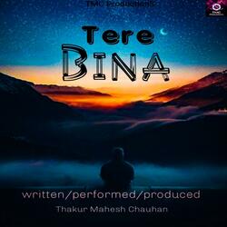 Tere bina