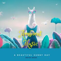A Beautiful Sunny Day