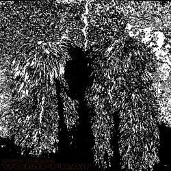 baby aphex twink or the person i was before