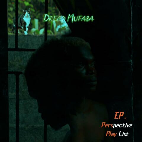 Perspective Playlist