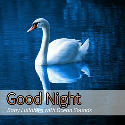 Good Night Baby Song