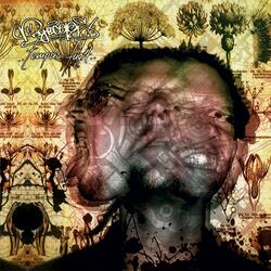 Walking Without Feet