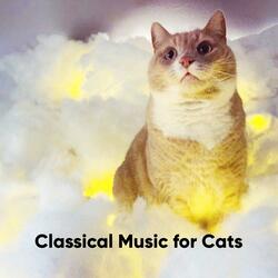 Prelude and Fugue No. 1 in C Major, BWV 846: Prelude - Strings Version