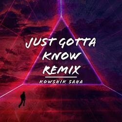 Just Gotta Know (Remix)