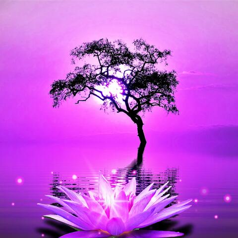 Pure Relaxation Spa Rejuvenation 432 hz