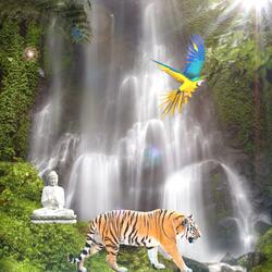 Rainforest Waterfall Spa Meditation Bliss